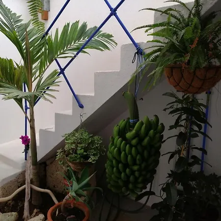 La Haciendita De La Casita Azul Apartman *